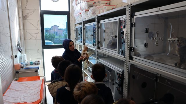 Sevgi dolu buluşma: Can dostların yeni dünyasına hayran kaldılar
