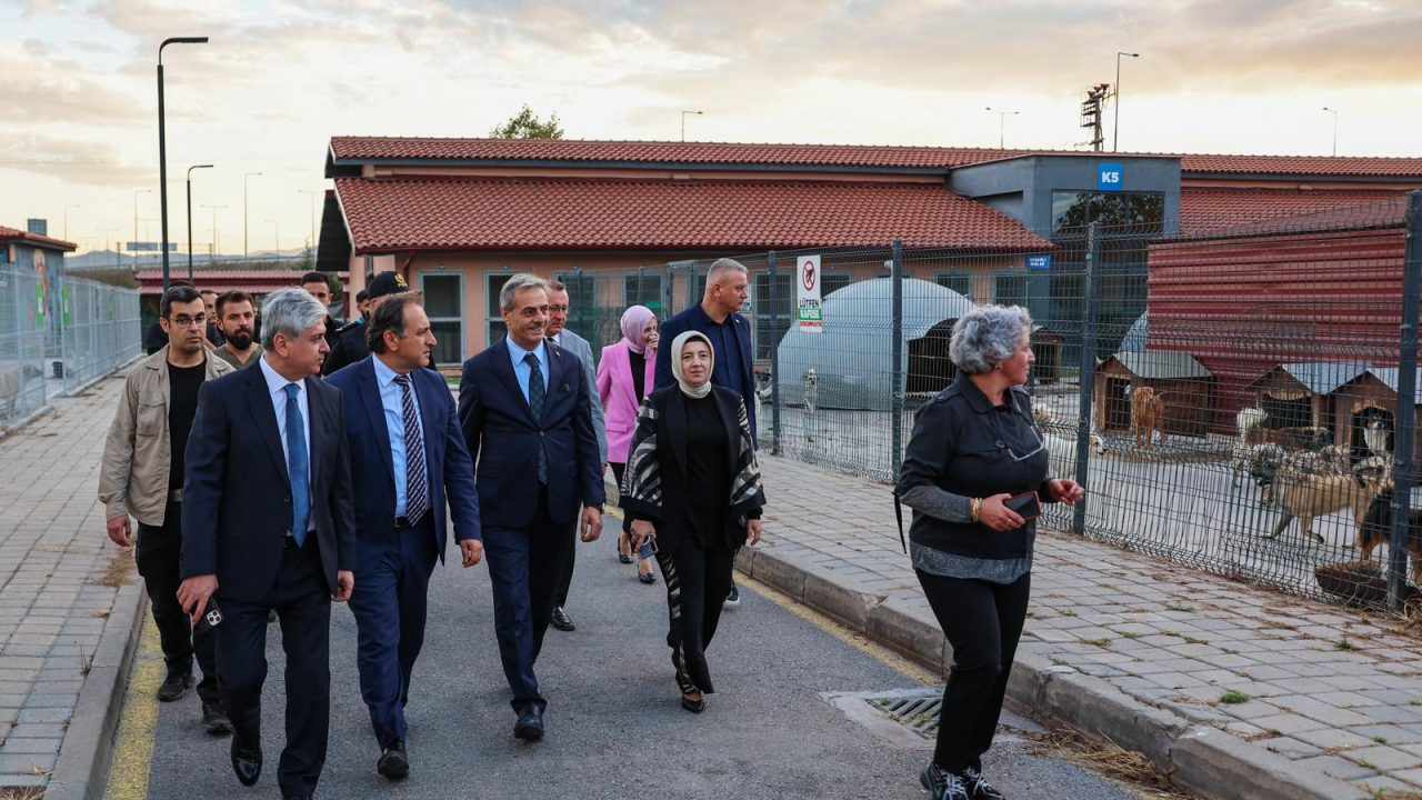 “Sokak Hayvanları Doğal Yaşam Kampüsü yakında kapılarını açacak”