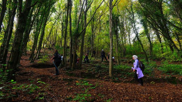 Sonbaharın Sakarya’daki en büyüleyici rotasına âşık oldular