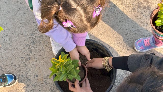 Toprağa dokunan minik eller Sakarya’da umudu ekti