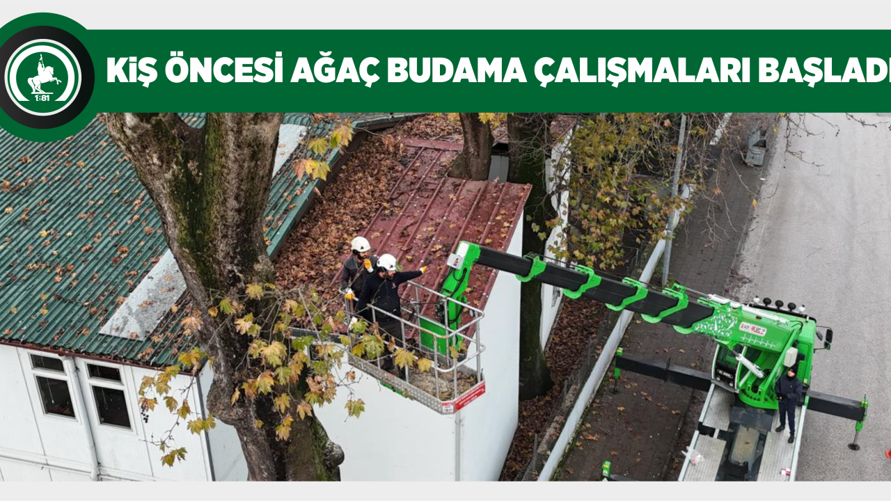 KIŞ ÖNCESİ AĞAÇ BUDAMA ÇALIŞMALARI BAŞLADI