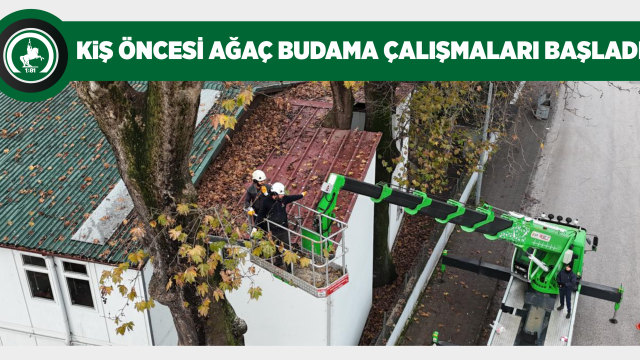 KIŞ ÖNCESİ AĞAÇ BUDAMA ÇALIŞMALARI BAŞLADI