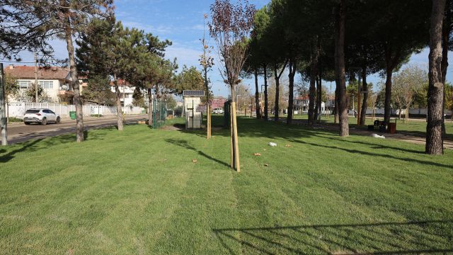 “Söğütlü Ritim Park’ta çalışmalar yüzde 80 seviyelerine ulaştı”
