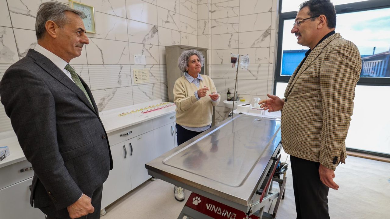 “Sokak Hayvanları Doğal Yaşam Kampüsü ile Sakarya’mız yine bir ilke imza attı”