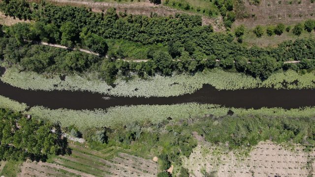 Doğanın kalbi Sakarya’da attı: İki yeşil noktaya 605 bin ziyaretçi