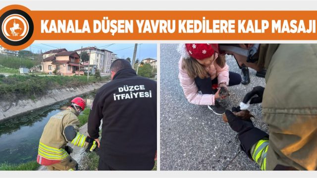 DÜZCE İTFAİYESİ ZAMANINDA YETİŞTİ