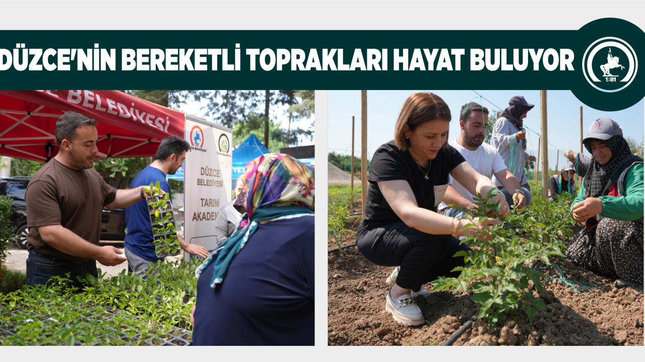 TARIM AKADEMİSİ ATA TOHUMU İLE GÖZ DOLDURUYOR