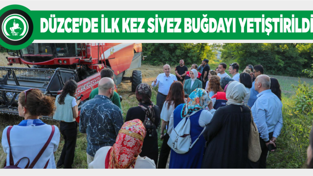 TARIM AKADEMİSİ’NDE SİYEZ BUĞDAYI HASADI