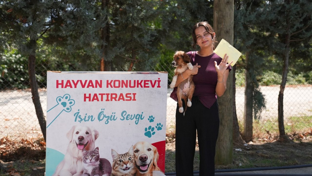 HAYVAN SAHİPLENDİRME DEVAM EDİYOR