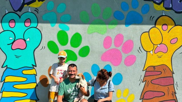 Pati İzi, 700’ü aşkın patili dostu yeni yuvasına kavuşturdu