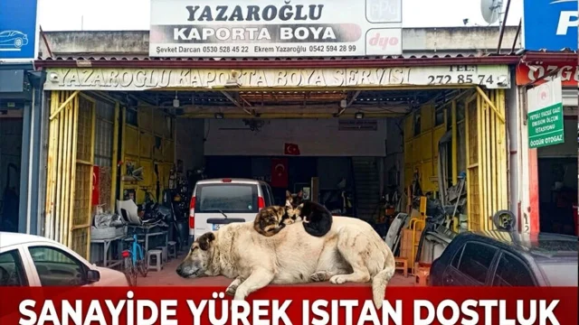 Sanayi sitesinde yürek ısıtan dostluk