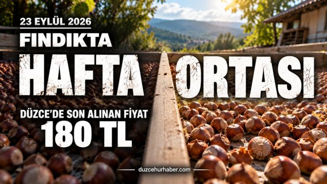 Düzce Fındık Fiyatları 23 Eylül 2026: Hafta Ortasında Fındık Kaç TL?