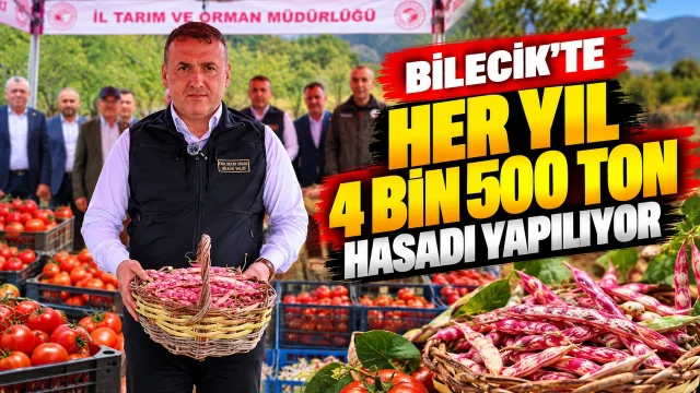 BİLECİK'TE HER YIL 4 BİN 500 TON TAZE BARBUNYA HASADI YAPILIYOR