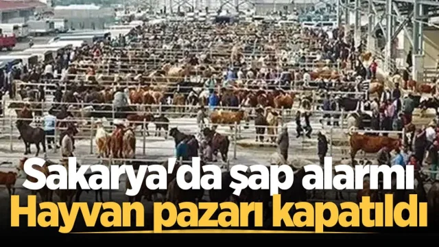 Sakarya Hayvan pazarı şap hastalığı nedeniyle kapatıldı