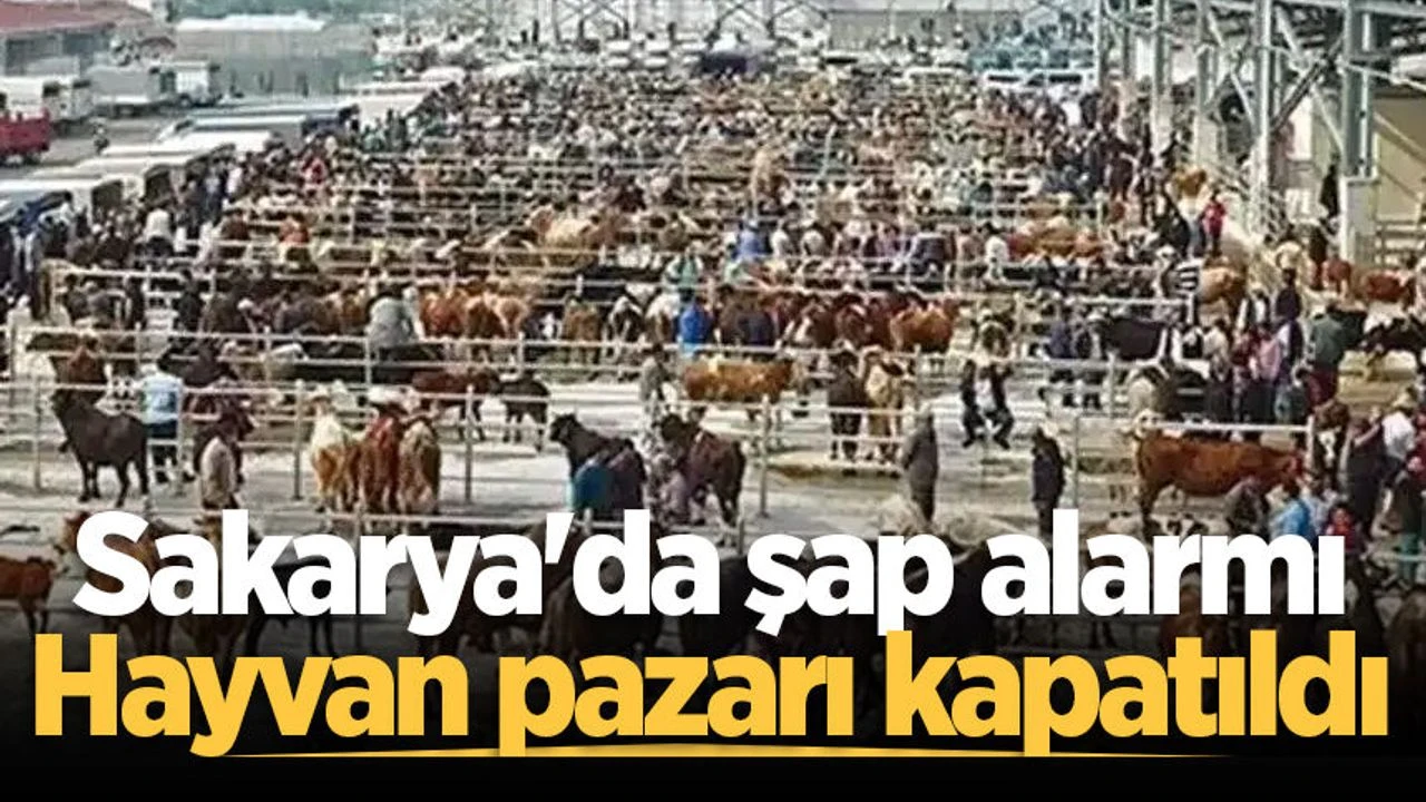 Sakarya Hayvan pazarı şap hastalığı nedeniyle kapatıldı