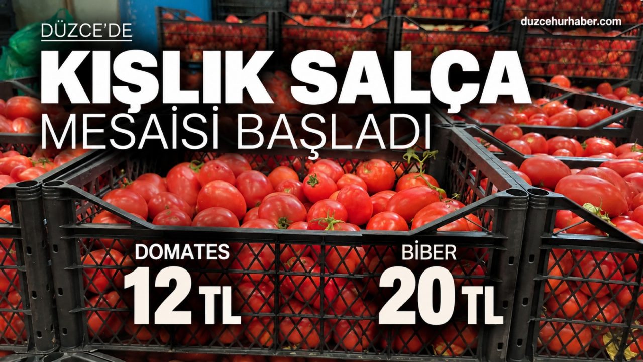 Düzce'de kışlık salça mesaisi: Domates 12, biber 20 TL