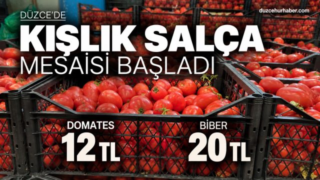 Düzce'de kışlık salça mesaisi: Domates 12, biber 20 TL