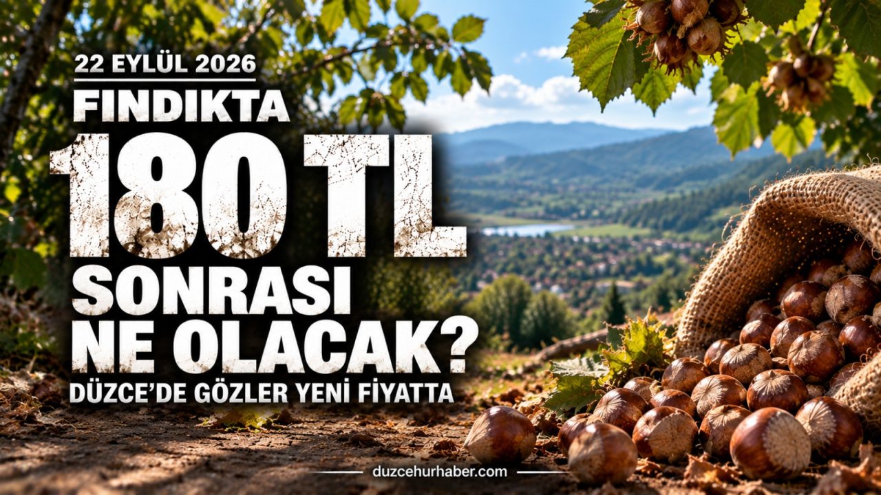 Fındık Fiyatları 22 Eylül 2026: Düzce'de 180 TL Sonrası Son Durum
