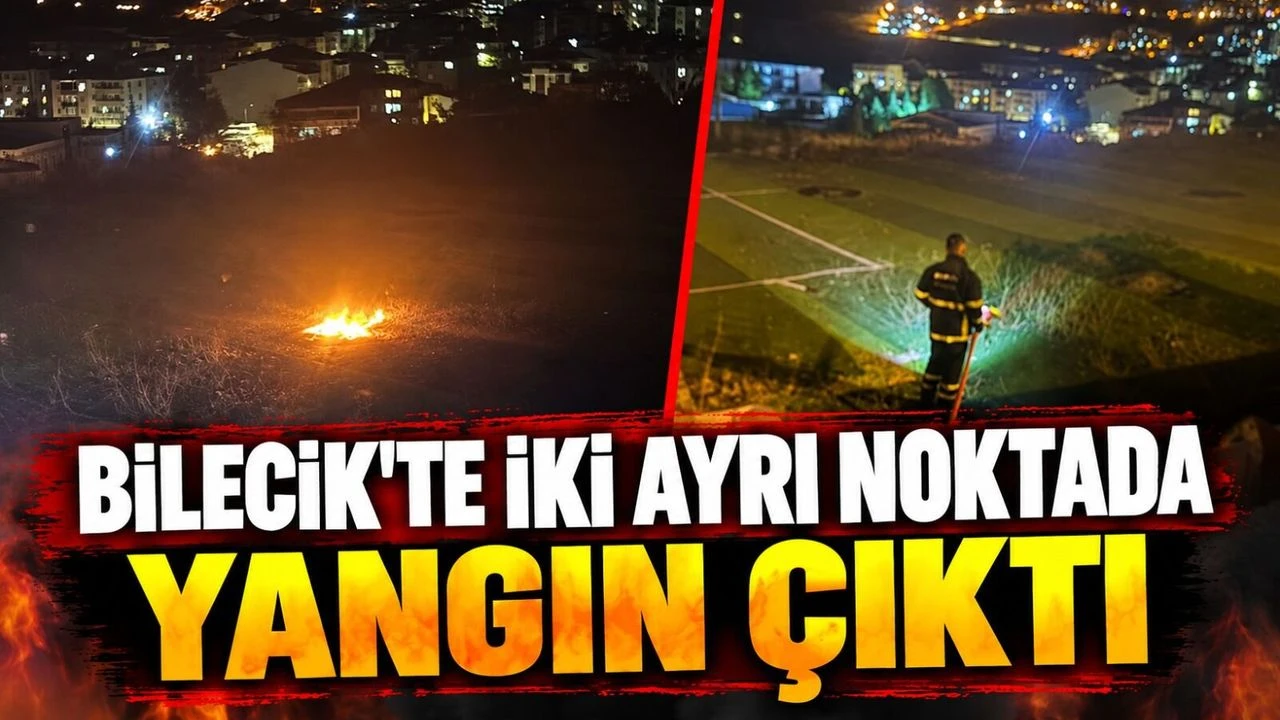 BİLECİK'TE İKİ AYRI NOKTADA YANGIN ÇIKTI