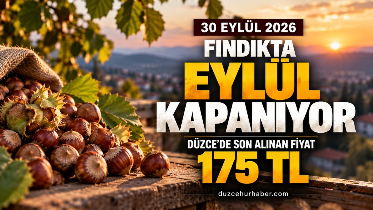 Düzce Fındık Fiyatları 30 Eylül 2026: Eylül Ayı Hangi Fiyatla Kapanıyor?