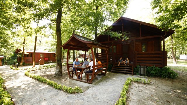 Sakarya İl Ormanı Bungalov Evleri misafirlerini bekliyor