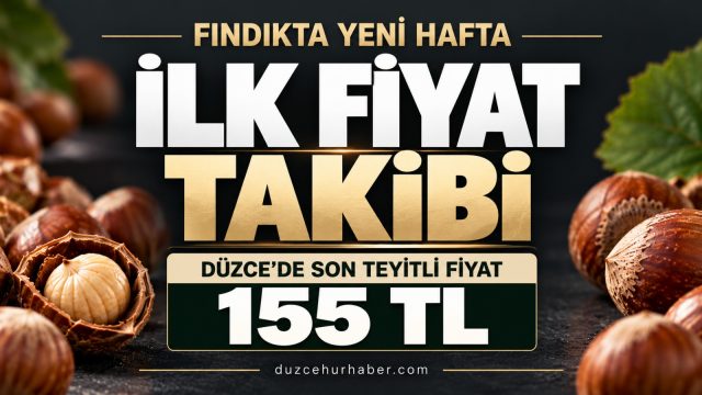 Düzce fındık fiyatları 26 Ekim 2026: Yeni haftada ilk fiyat takibi