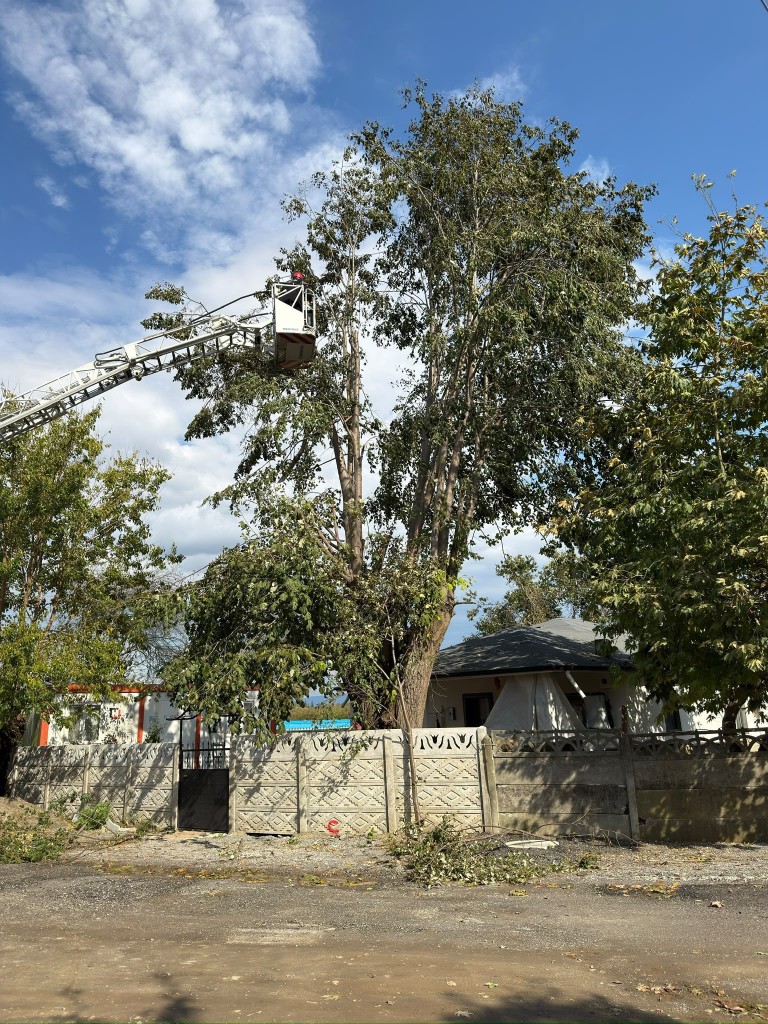 duzcede-evin-uzerine-devrilen-agac-ekiplerce-kaldirildi-1-112021