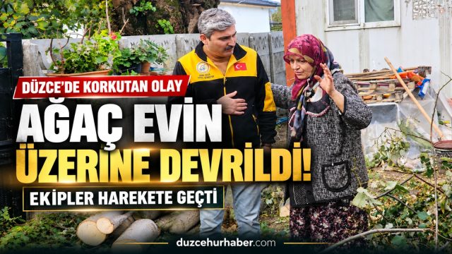 Düzce’de evin üzerine devrilen ağaç ekiplerce kaldırıldı