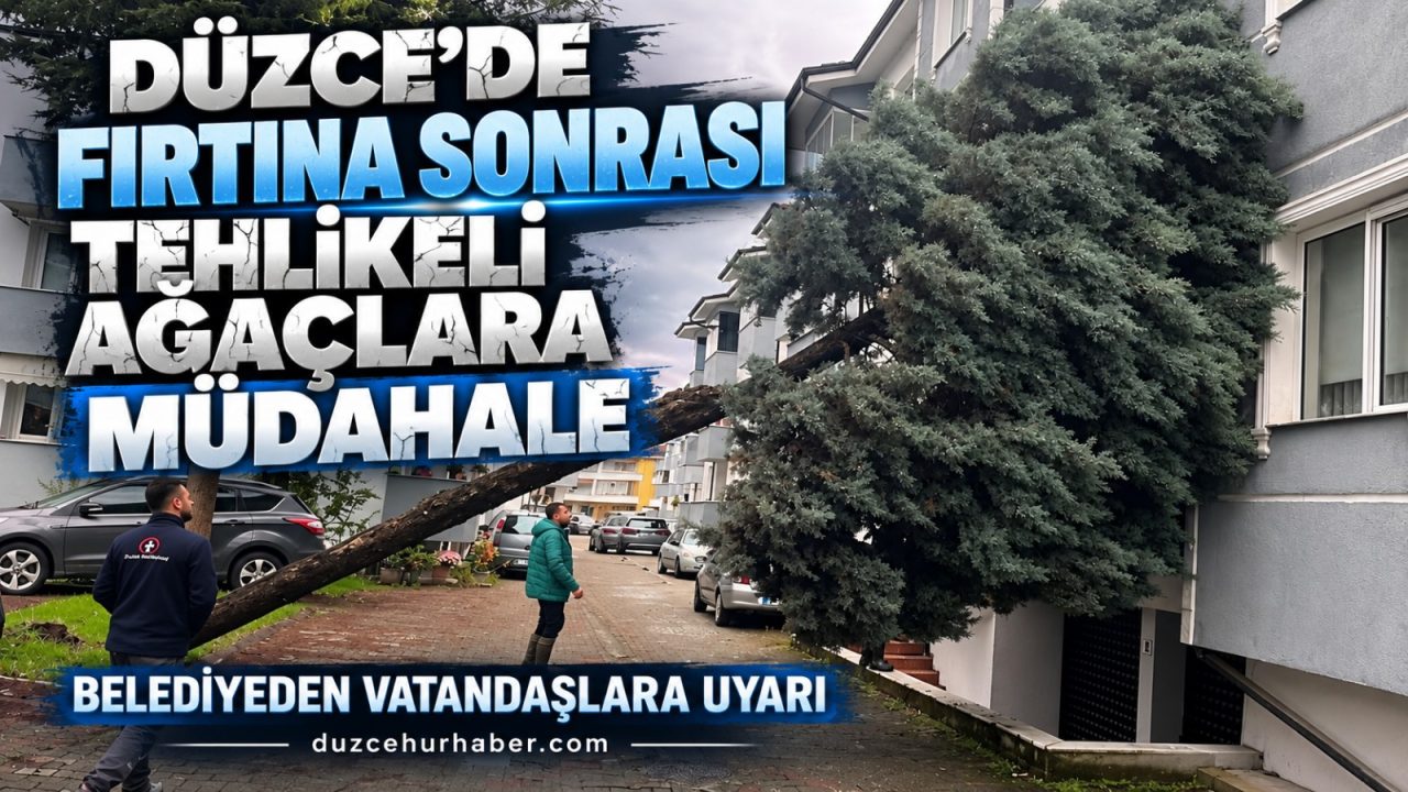 Düzce’de fırtına sonrası tehlike: Belediyeden kritik uyarı