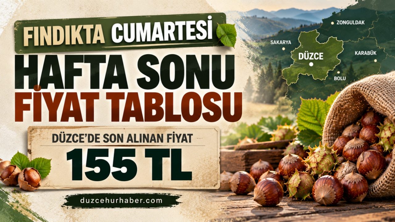 Düzce’de hafta sonu fındık fiyatları: Son kontrolde 155 TL kaydedildi