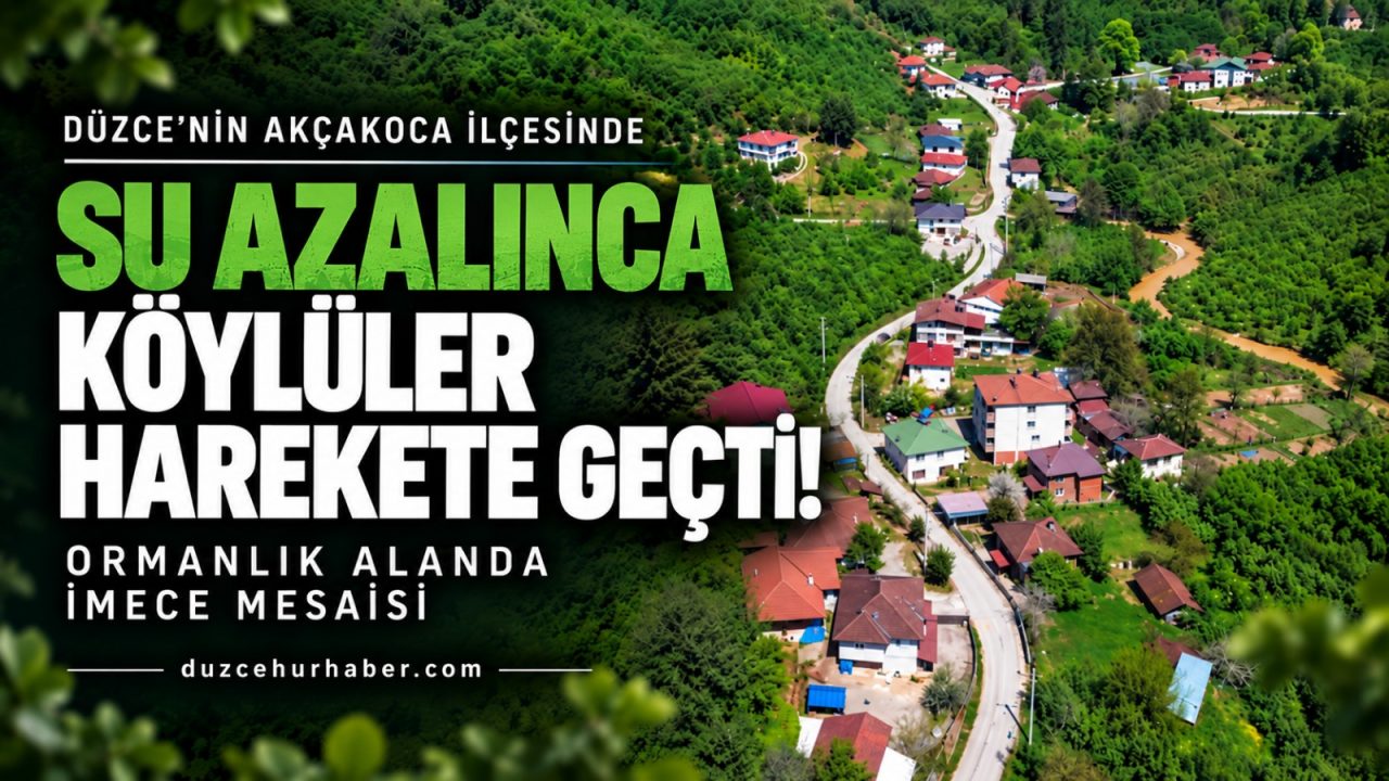 Düzce’de Su Azalınca Köylüler Harekete Geçti! Ormanda İmece Mesaisi