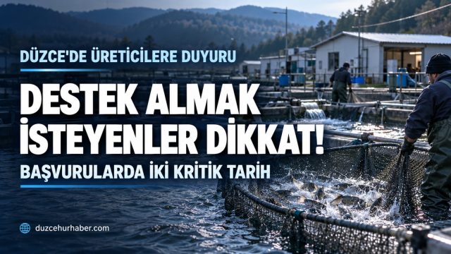 Düzce’de Su Ürünleri Desteği Başlıyor! Başvuru İçin Son Tarih 18 Aralık