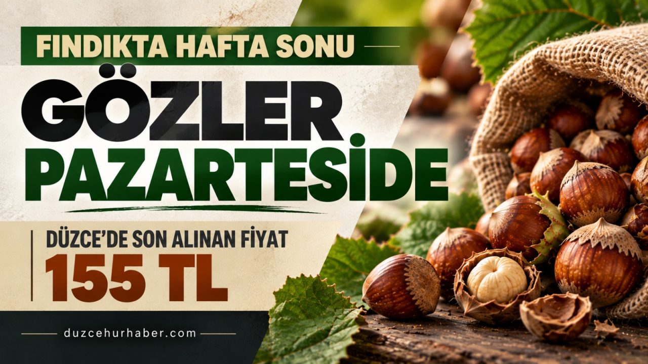 Fındıkta gözler pazartesiye çevrildi: Düzce’de son alınan fiyat 155 TL