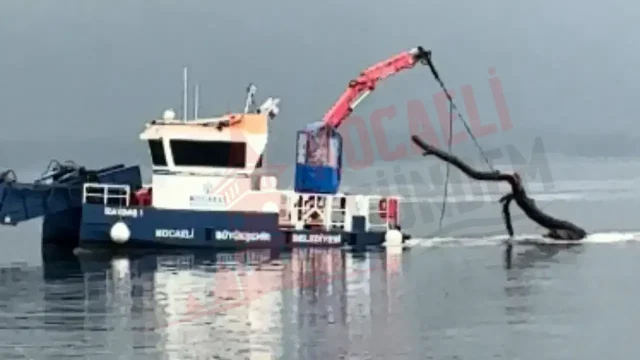 Kocaeli’de fırtınanın ardından Körfez’de temizlik mesaisi