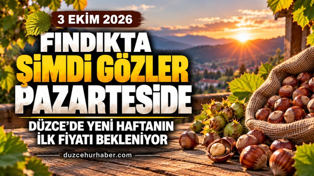 Düzce Fındık Fiyatları 3 Ekim 2026: Gözler Pazartesi Günü Oluşacak Yeni Fiyatta