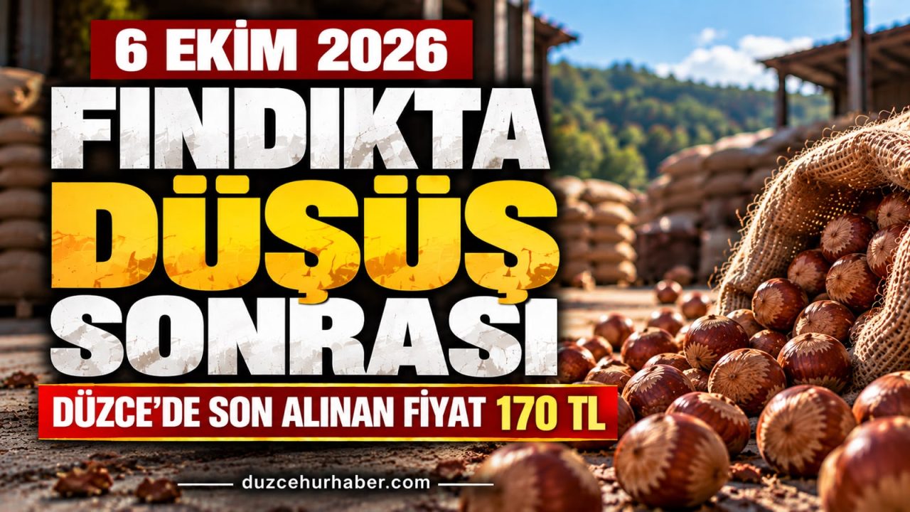 Düzce Fındık Fiyatları 6 Ekim 2026: Sert Düşüşün Ardından Fındık Kaç TL?
