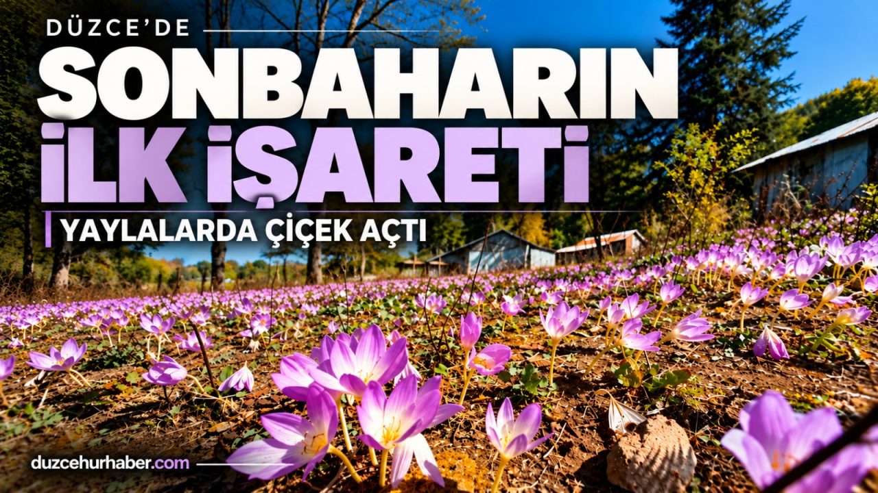 Düzce'nin yaylaları mor ve lilaya büründü