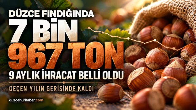 Düzce'de fındık ihracatında dikkat çeken düşüş: 9 aylık tablo belli oldu