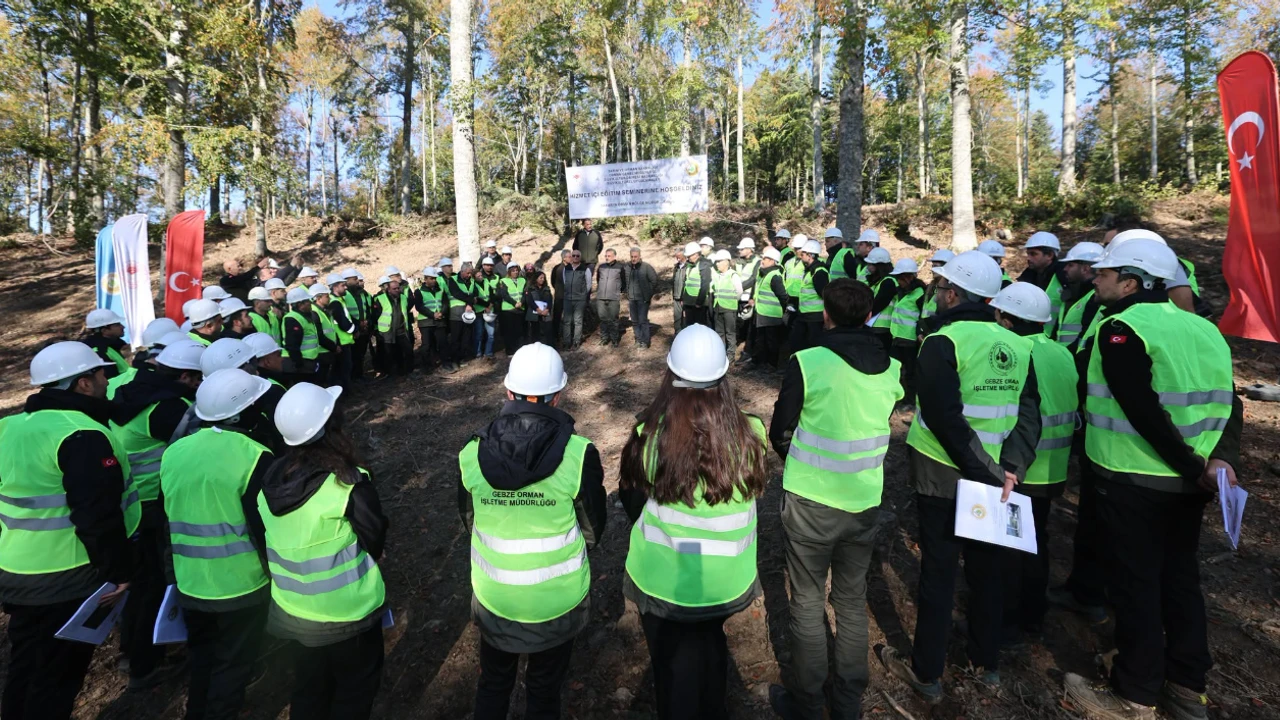 Sakarya ormanlarında silvikültür uygulamaları eğitimi