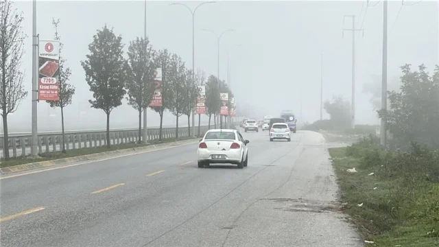 Sakarya'da sis görüş mesafesini düşürdü