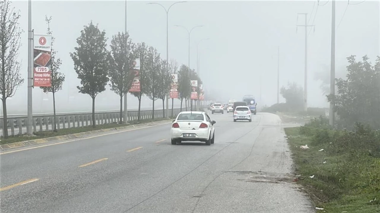 Sakarya'da sis görüş mesafesini düşürdü