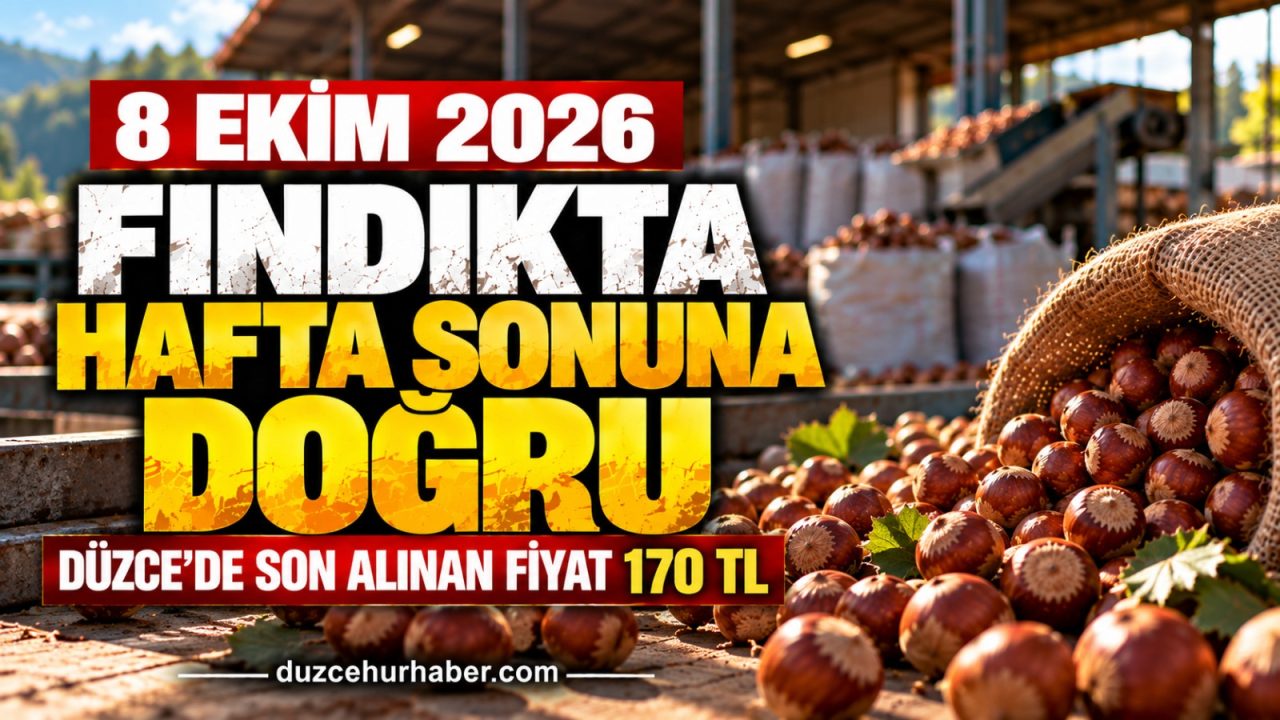Düzce'de Fındık Fiyatlarında Perşembe Günü: Son Rakam Ne Kadar?