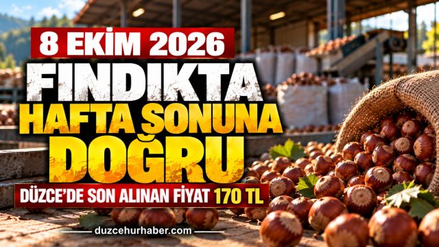 Düzce'de Fındık Fiyatlarında Perşembe Günü: Son Rakam Ne Kadar?