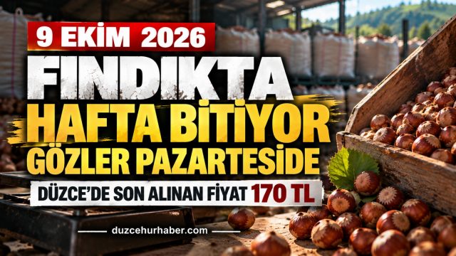 Düzce'de Fındıkta Cuma Günü: Son Fiyatlar ve Yeni Hafta Beklentisi