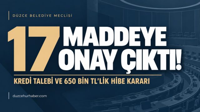 Düzce Belediye Meclisinde 17 karar: Kredi talebi ve 650 bin TL'lik hibe onaylandı