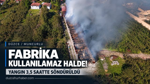 Düzce'de fabrika yangınının bilançosu ağır! 3,5 saatte söndürüldü