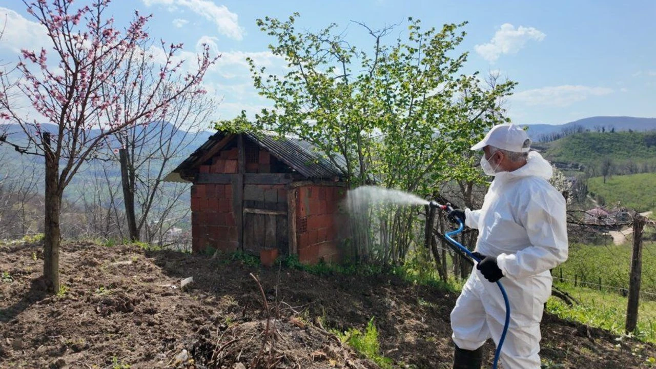 Kahverengi kokarcaya karşı güç birliği