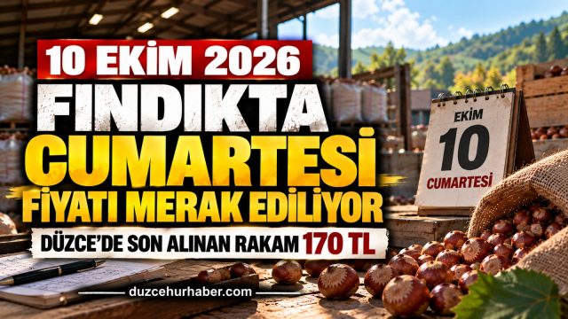 Düzce'de Cumartesi Fındık Fiyatları: Son Alınan Rakamlar Açıklandı mı?