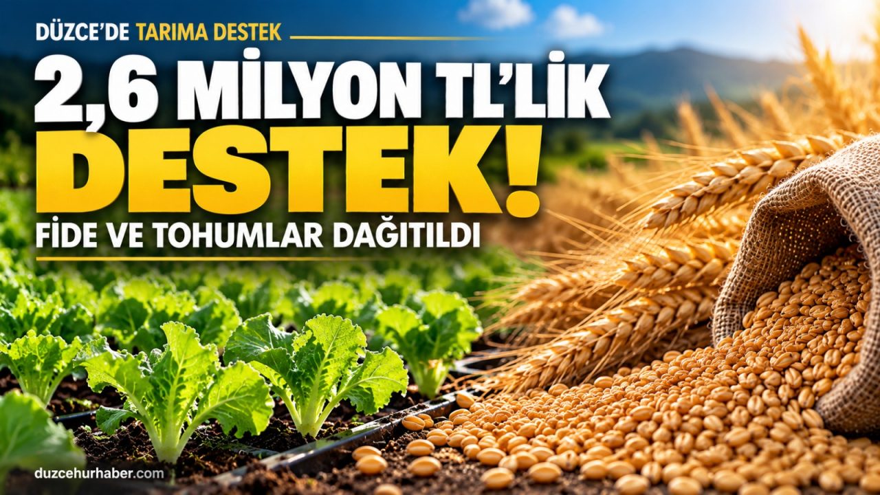 Düzce'de 207 bin marul fidesi, 62 ton buğday tohumu dağıtıldı!