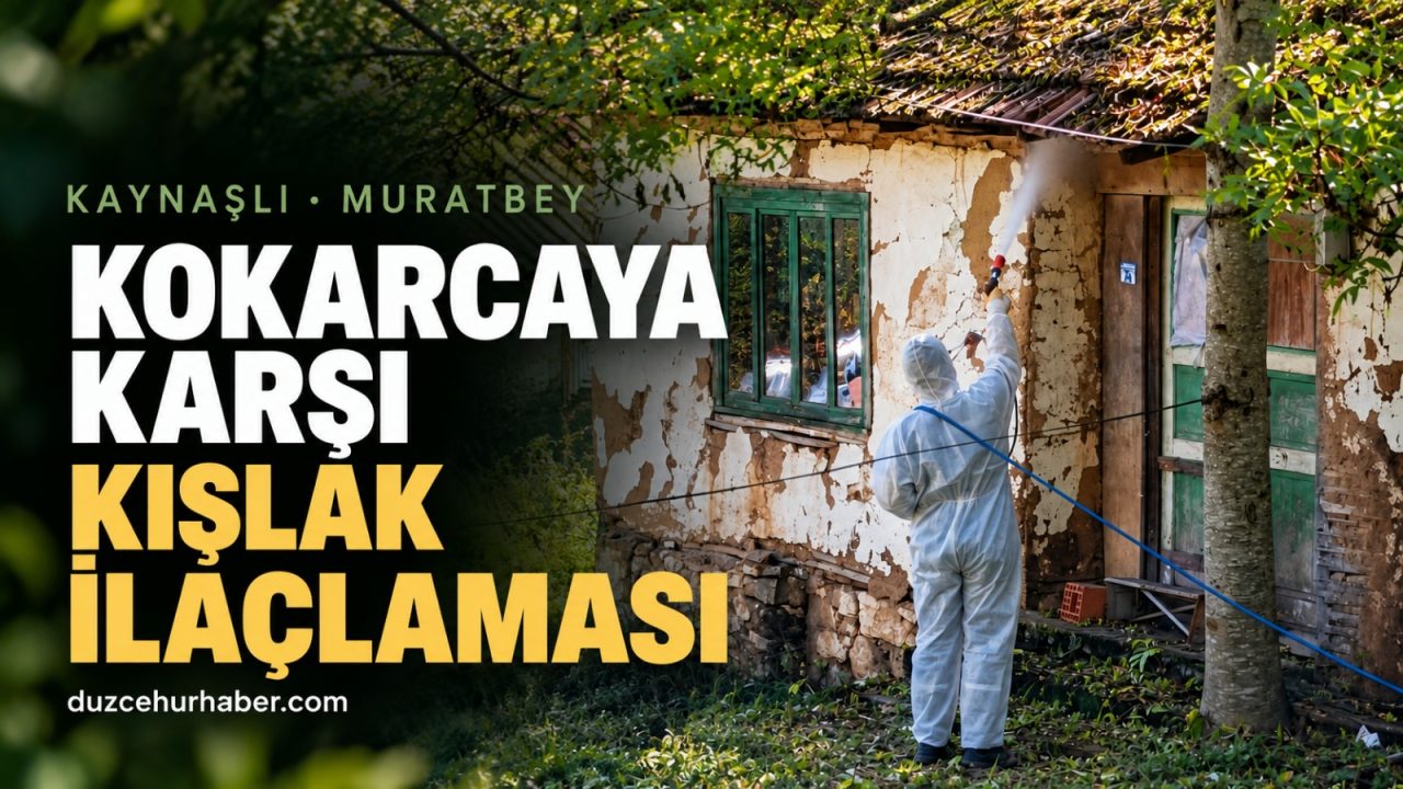 Düzce'de kahverengi kokarcaya karşı kışlak ilaçlaması yapıldı